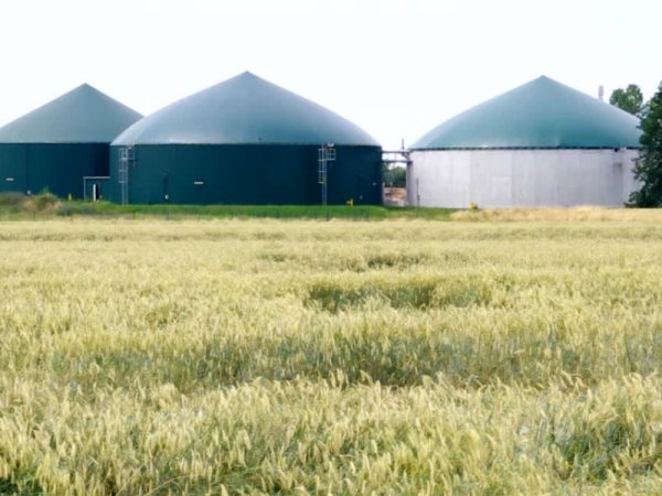 Making our Planet a Better Place with BIOFUEL (2)