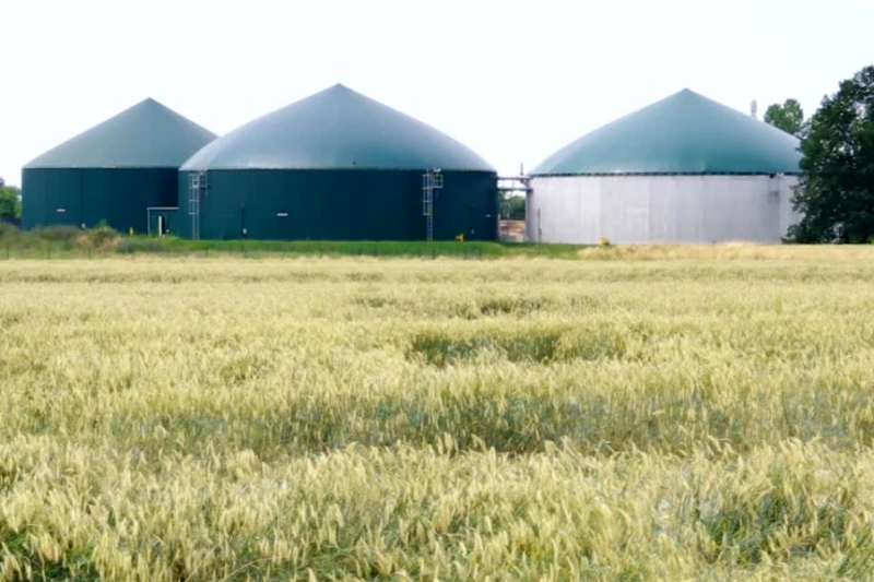 Making our Planet a Better Place with BIOFUEL (2)